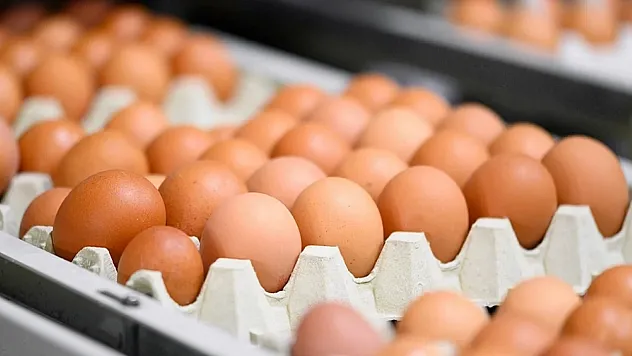 Yumurtada Yeni Dönem