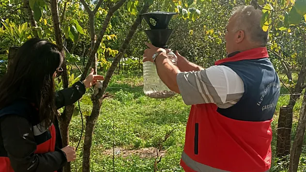 Zararlıya Karşı Büyük Hamle