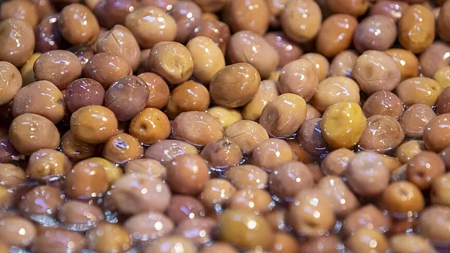 Zeytin Üretiminde Bereketli Sezon Beklentisi