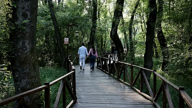 Ziyaretçilerin ilgisini çekiyor