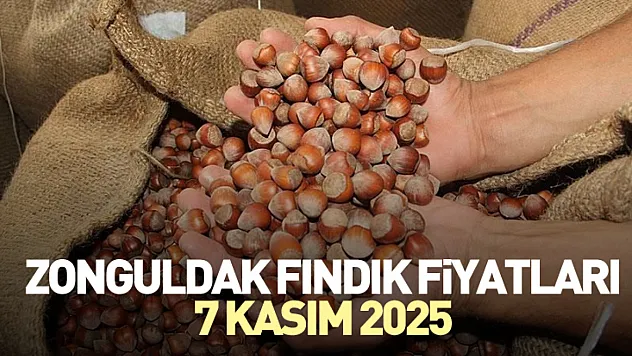 Zonguldak Fındık Fiyatları 7 Kasım 2025