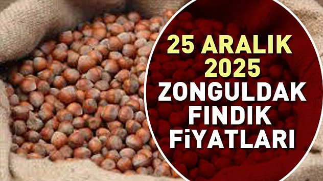 Zonguldak Fındık Fiyatları Hassas Dengede | 25 Aralık'ta Küçük Alım Büyük Etki