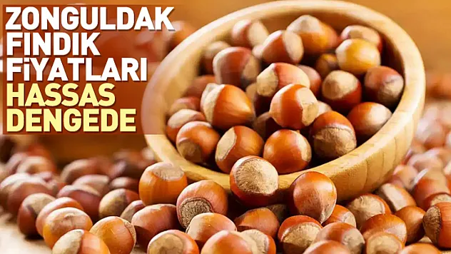 Zonguldak Fındık Fiyatları Hassas Dengede | 27 Aralık'ta Küçük Alımlar Etkili