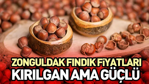 Zonguldak Fındık Fiyatları Kırılgan Ama Güçlü