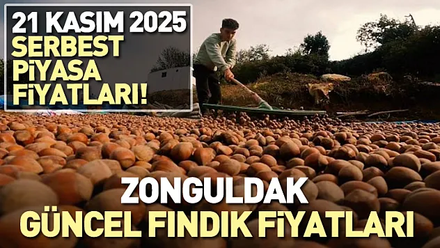 Zonguldak Güncel Fındık Fiyatları! İşte 21 Kasım 2025 serbest piyasa fiyatları!