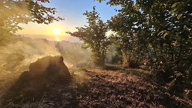 Zonguldak'ta fındık bahçesi alarmı: Vatandaşlar alevlere ayaklarıyla direndi