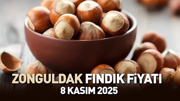 Zonguldak'ta Fındık Fiyatları Yükselişte: 8 Kasım 2025 Güncel Serbest Piyasa Rakamları