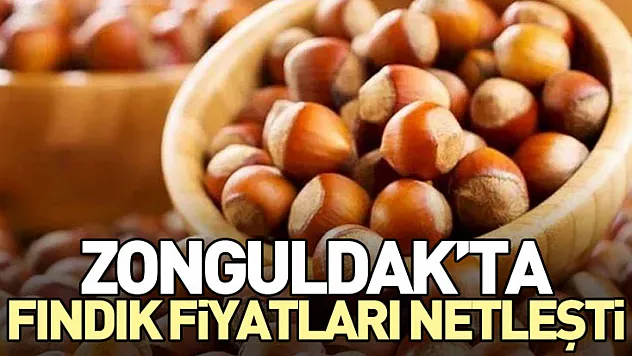 Zonguldak'ta Fındık Fiyatları Netleşti