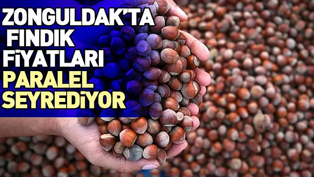 Zonguldak'ta Fındık Fiyatları Paralel Seyrediyor