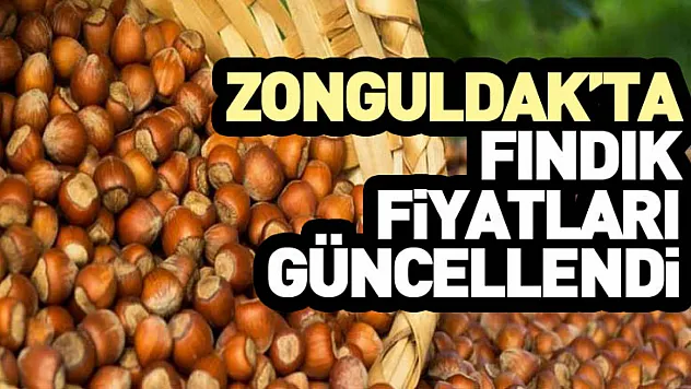 Zonguldak'ta Fındık Fiyatları Güncellendi