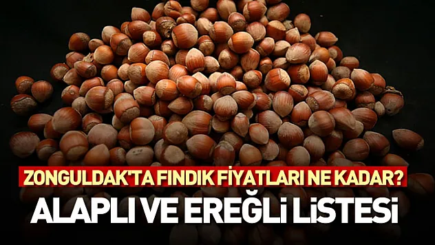 Zonguldak'ta Fındık Fiyatları Ne Kadar? Alaplı ve Ereğli Listesi