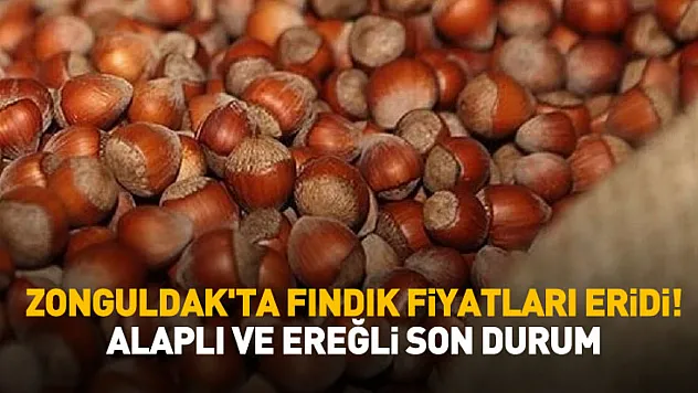 Zonguldak'ta Fındık Fiyatları Eridi! Alaplı ve Ereğli Son Durum