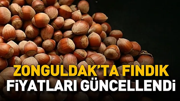 Zonguldak'ta Fındık Fiyatları Güncellendi