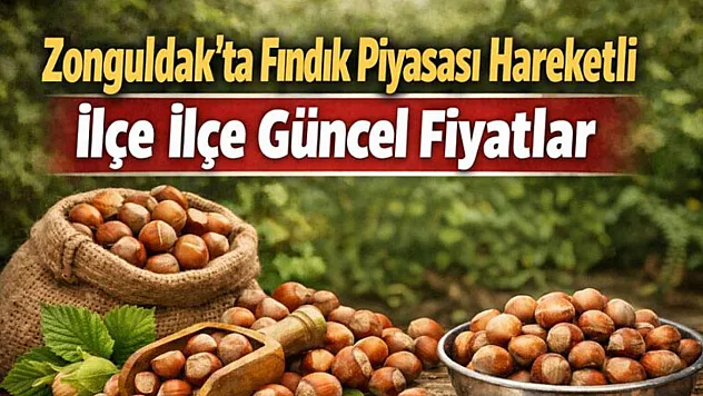 Zonguldak'ta Fındık Piyasası Hareketli: İlçe İlçe Güncel Fiyatlar