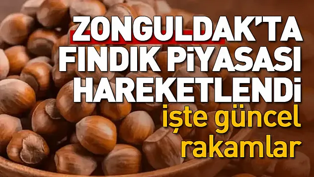 Zonguldak'ta fındık piyasası hareketlendi