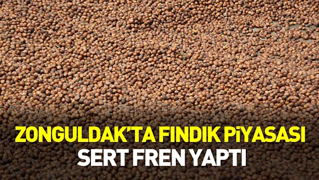 Zonguldak'ta Fındık Piyasası Sert Fren Yaptı: İlçelerde Rakamlar Yeniden Şekillendi