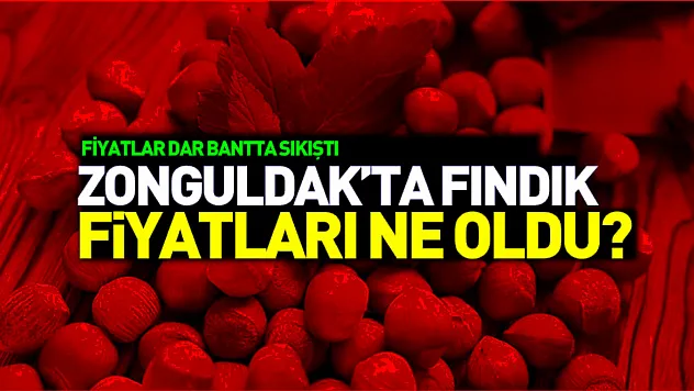 Zonguldak'ta Fındıkta Yön Arayışı: Fiyatlar Dar Bantta Sıkıştı