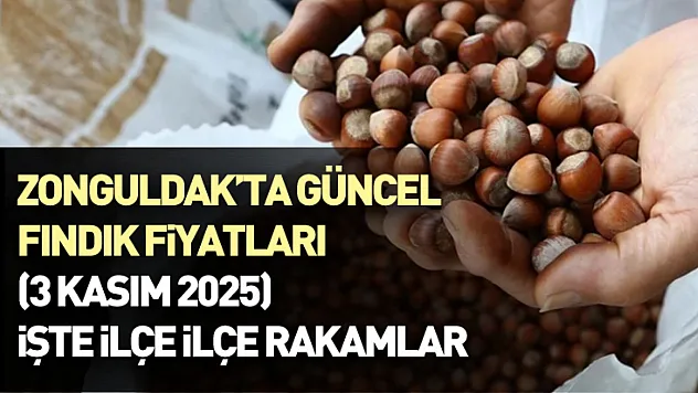 Zonguldak'ta Güncel Fındık Fiyatları (3 Kasım 2025) – İşte İlçe İlçe Rakamlar