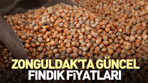 Zonguldak'ta Güncel Fındık Fiyatları