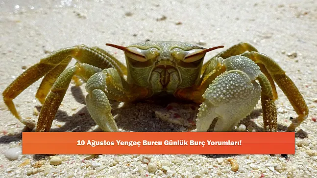 10 Ağustos Yengeç Burcu Günlük Burç Yorumları!