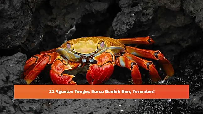 21 Ağustos Yengeç Burcu Günlük Burç Yorumları!