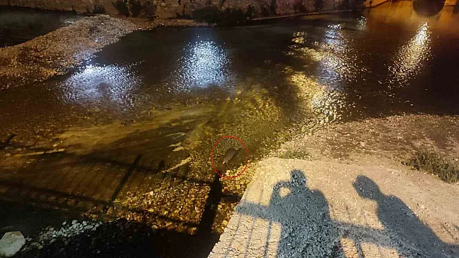 Çarşamba çayında su samuru sürprizi