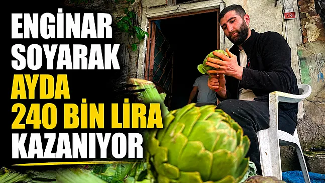 Günde bin enginar soyuyor, ayda 240 bin lira kazanıyor