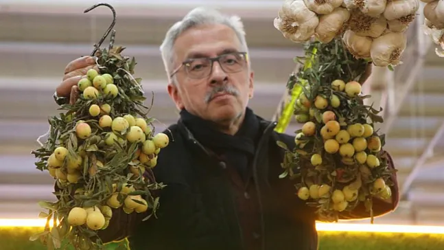 İki yılda bir yetişiyor, bu meyve sipariş üzerine satılıyor