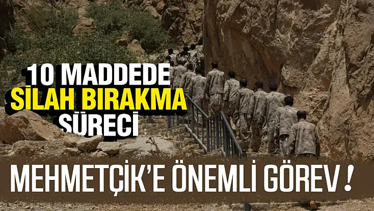 10 Maddede Silahsızlanma Süreci: Tüm Silah ve Ekipmanlar Teslim Edilecek