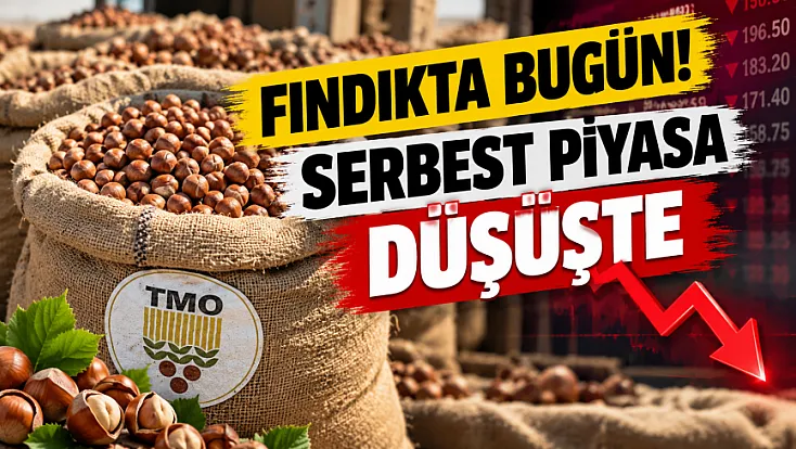 17 Ekim serbest piyasa fındık fiyatlarında son durum