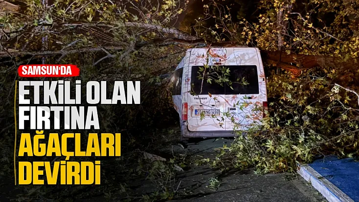 Alaçam'da şiddetli rüzgar nedeniyle devrilen ağaç minibüsün üzerine düştü