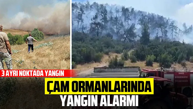 Alevler Evlerin Sınırına Dayandı!