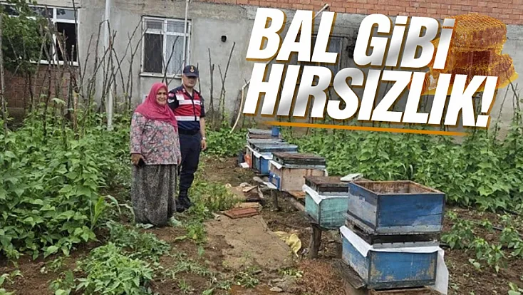 Çarşamba’da arı kovanlarını çalan şahıs JASAT'tan kaçamadı