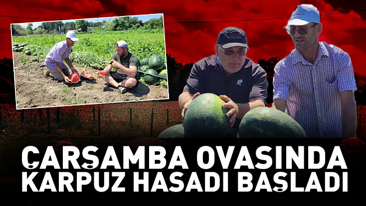 Çarşamba Ovası’nda karpuz hasadı başladı