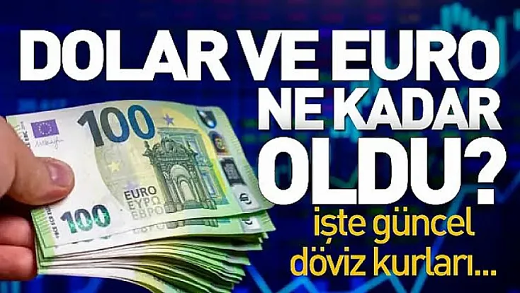 Döviz piyasasında hareketlilik sürüyor