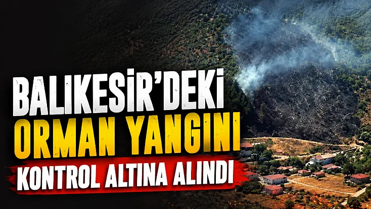 Edremit Körfezi'nde korkutan yangın: Ekipler seferber oldu