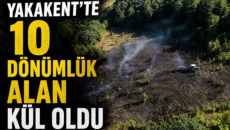 Ekiplerin hızlı müdahalesiyle alevler evlere ulaşmadan kontrol altına alındı