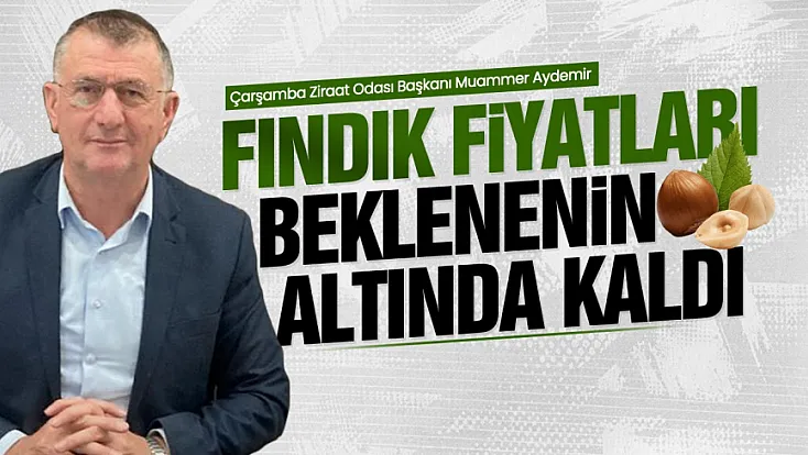 Fındık fiyatına ilk değerlendirme Muammer Aydemir'den
