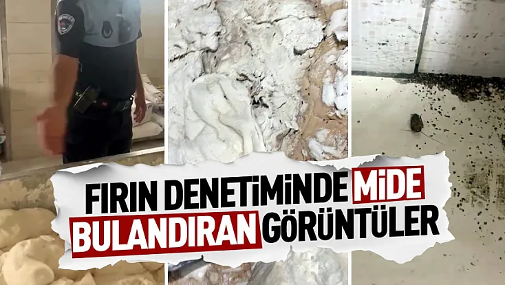 Fırın denetiminde böcek ve izmarit skandalı