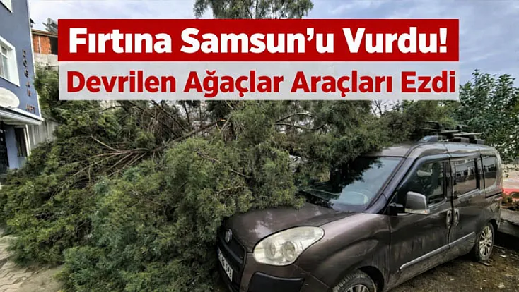 Fırtına Samsun’u Vurdu! Devrilen Ağaçlar Araçları Ezdi