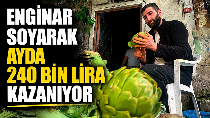 Günde bin enginar soyuyor, ayda 240 bin lira kazanıyor