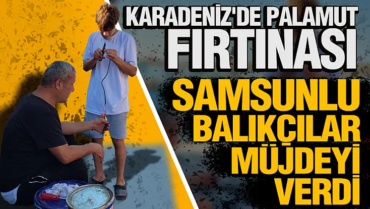Karadeniz'de ağlar umutla atıldı: Samsunlu balıkçılar bu yıl palamuda doyuracak