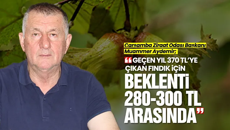 Muammer Aydemir, ‘Fındıkta Fiyat Düşüşünün Faturasını Üretici Ödüyor’