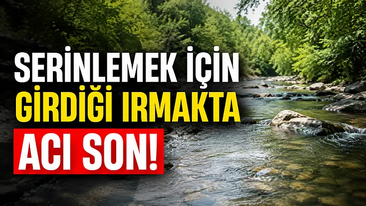 Ordu'da ırmağa giren 12 yaşındaki çocuk yaşam savaşını kaybetti
