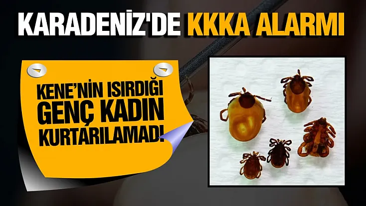 Ordu'da kene kabusu: KKKA virüsüne yakalanan 35 yaşındaki kadın hayatını kaybetti