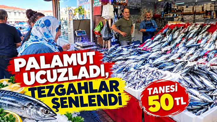 Palamutun tanesi 50 TL'ye düştü