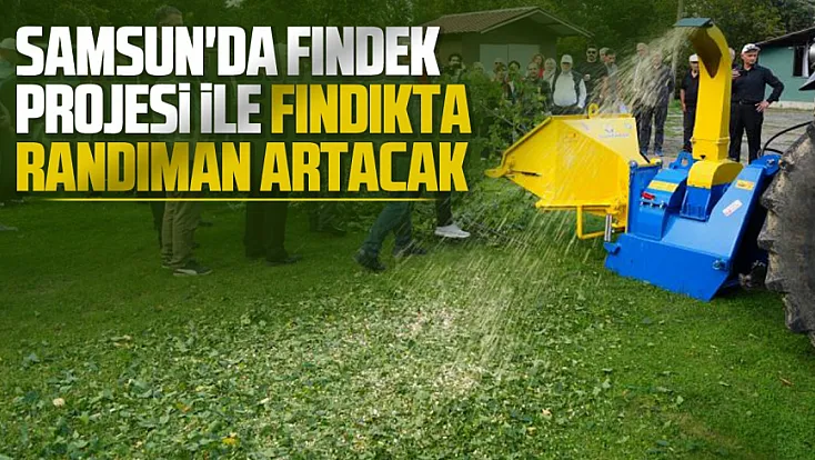 Samsun Atakum'da fındığın randımanın artıracak proje
