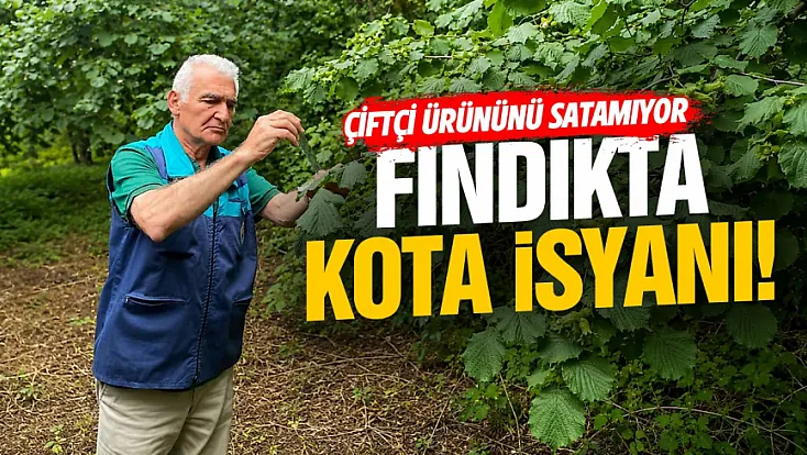 Samsun Ayvacık’ta fındık kotası için imza kampanyası