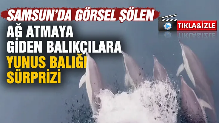 Samsun'da ağ atmaya giden balıkçılara yunus balığı sürprizi