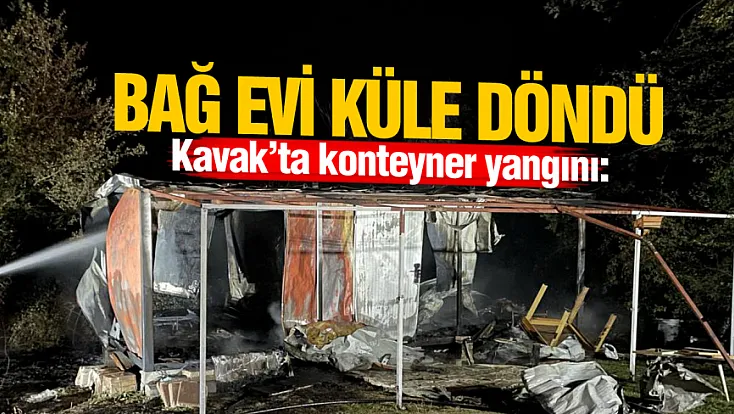 Samsun’da bağ evi olarak kullanılan konteyner küle döndü